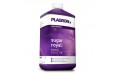 PLAGRON Sugar Royal